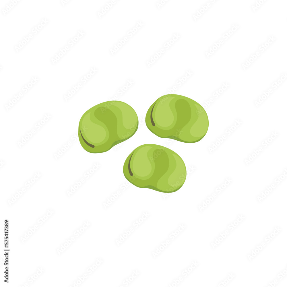 Fava bean. Broad bean. Vector illustration isolated on white background. For template label, packing, web, menu, logo, textile, icon Fava bean. Broad bean. Vector illustration isolated on white background. For template label, packing, web, menu, logo, textile, icon