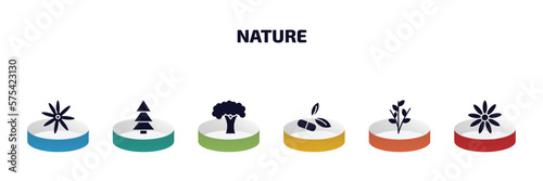 nature infographic element with filled icons and 6 step or option. nature icons such as sisyrinchium, red pine tree, beech, natural medical pills, willow, daisy vector.