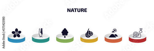 nature infographic element with filled icons and 6 step or option. nature icons such as pointia, lemongrass, american elm tree, bergamot, hills, snail vector.