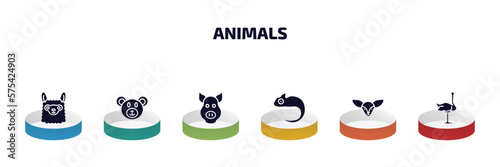 animals infographic element with filled icons and 6 step or option. animals icons such as llama, bear, pig, chameleon, fennec fox, ostrich vector.