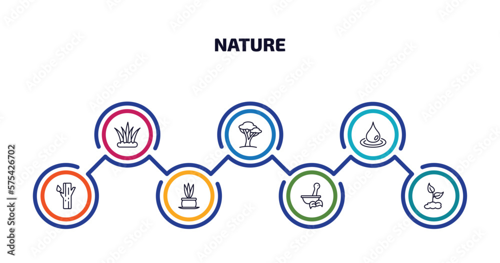 nature infographic element with outline icons and 7 step or option. nature icons such as grass leaves, savannah, raindrop, trunk, flower pot, therapy, grows vector.