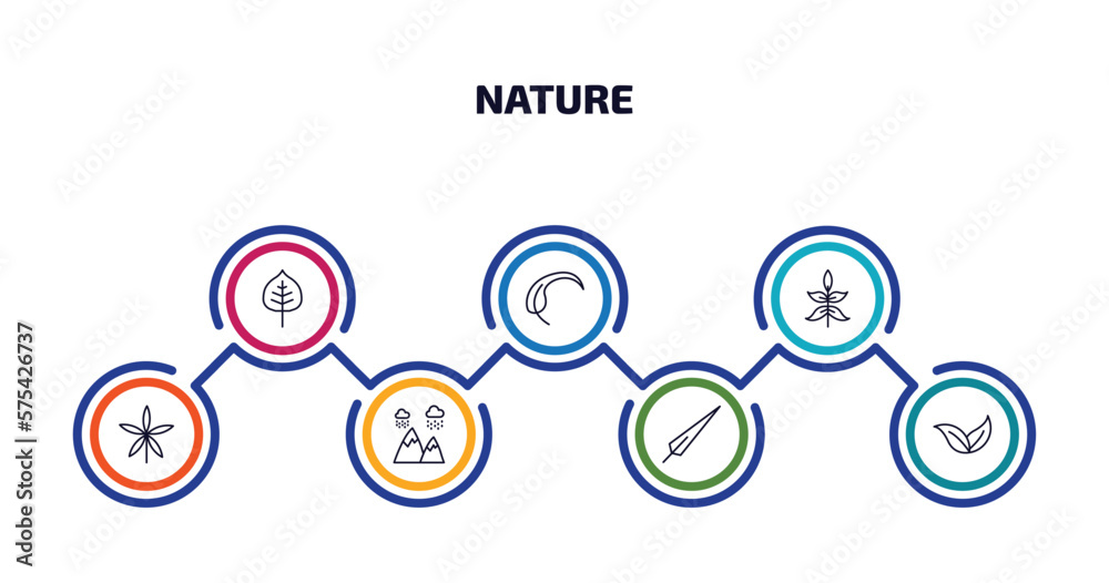 nature infographic element with outline icons and 7 step or option. nature icons such as cercis leaf, falcate, sprig with five leaves, palmatelly, rainy landscape, subulate, apricot leaf leaf nature infographic element with outline icons and 7 step or option. nature icons such as cercis leaf, falcate, sprig with five leaves, palmatelly, rainy landscape, subulate, apricot leaf leaf