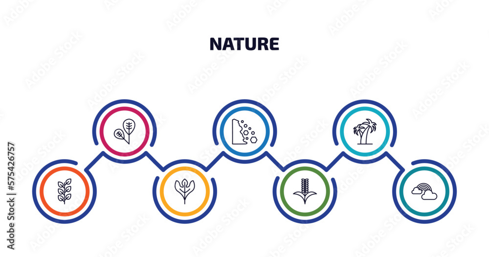 nature infographic element with outline icons and 7 step or option. nature icons such as obovate, falling debris, coconut tree standing, bilberry leaf, sassafras leaf, grains, rainbow behind a cloud