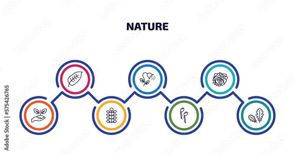 nature infographic element with outline icons and 7 step or option. nature icons such as ovate, pollen, roses, treatments, american mountain ash, fertilize clinic, pedunculate vector.