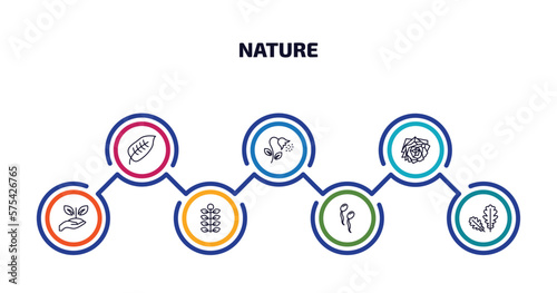 nature infographic element with outline icons and 7 step or option. nature icons such as ovate, pollen, roses, treatments, american mountain ash, fertilize clinic, pedunculate vector.