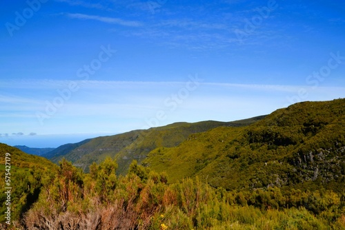 landscape with blue sky