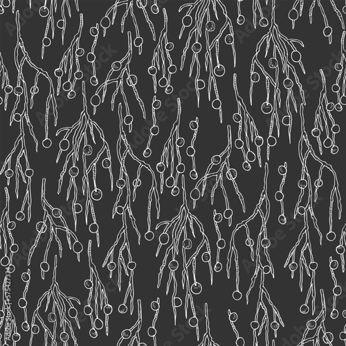 exotic branches seamless pattern. Natural tropical background with chamedorea leaves. Hand drawing in ink, outline