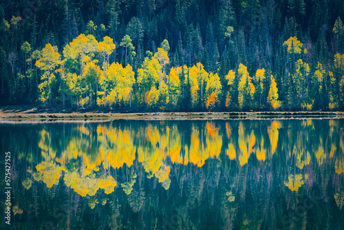 Autumn Colors at Fish Lake Near Richfield Utah photo