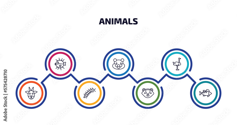 animals infographic element with outline icons and 7 step or option. animals icons such as globe fish, snigir, ostrich, goat, centipede, skunk, perch vector.