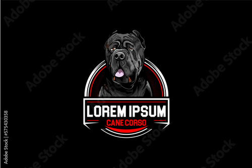 Cane corso vector logo badge design template