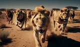 Pride of hungry lions in the sunny savannah of Africa. Generative ai.