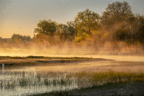 River Ubarc' (Belarus) at sunrise
