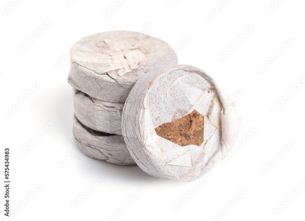 Naklejka premium Peat tablets or briquettes for sprouts. Isolated on white background