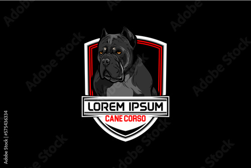 Cane corso vector logo badge design template