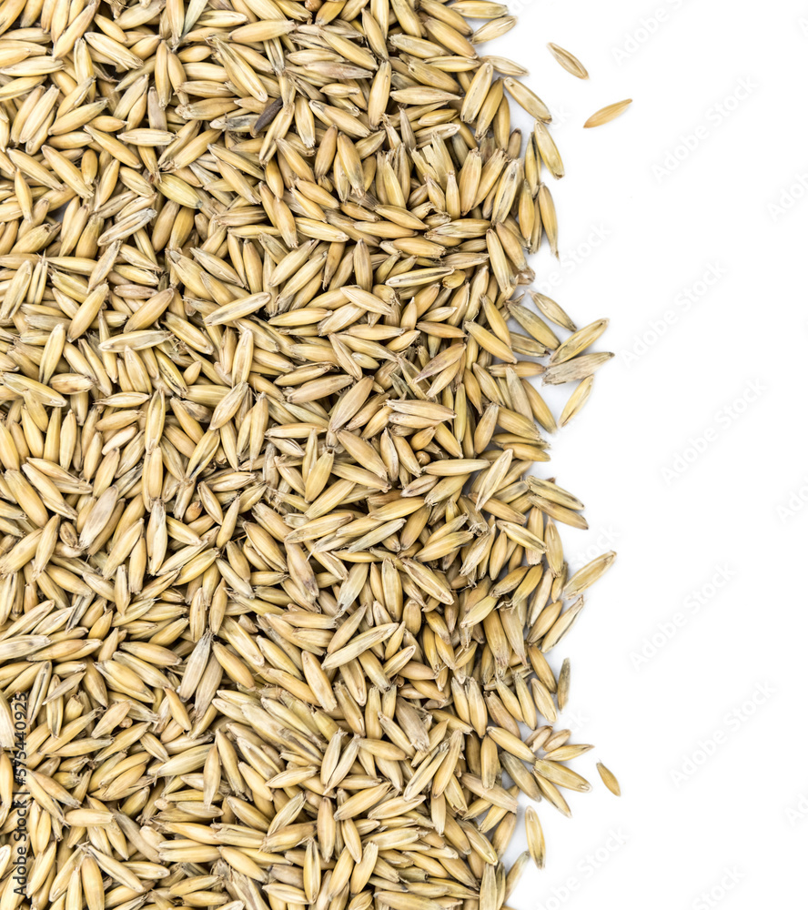 Oat with transparent background (selective focus, close-up shot)