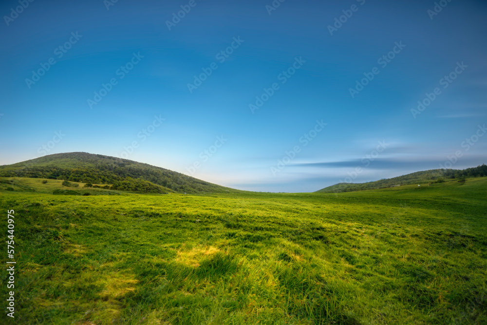 field and blue sky