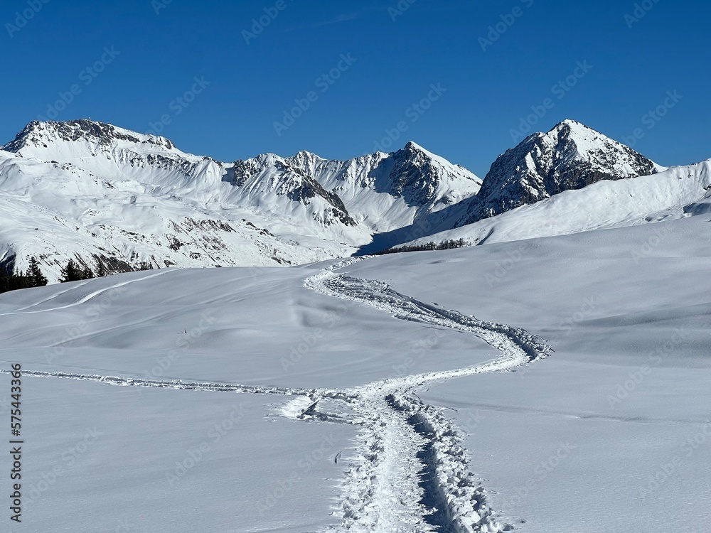Obraz premium Wonderful winter hiking trails and traces in the fresh alpine snow cover of the Swiss Alps and over the tourist resort of Arosa - Canton of Grisons, Switzerland (Schweiz)