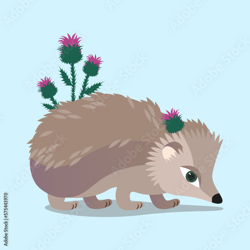 cute hedgehog in the thistle photo