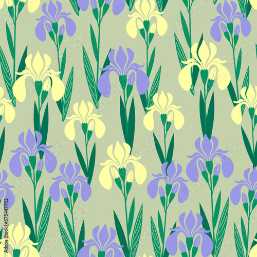 seamless pattern bright flower iris yellow and lilac