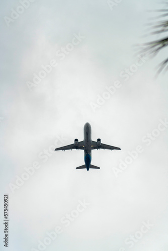 Airplane flying overhead with small palm tree leaves in gray cloudy stormy skies in urban or suburban setting