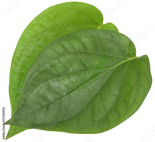 Edible betel leaves