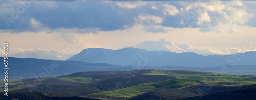 Hills cultivated in the fertile plain of Granada with different shades of green at sunset