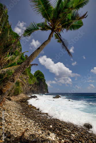 Palm trees and rocky beaches along the shore of the National Park of American Samoa, which is the only US National Park in the southern hemisphere.