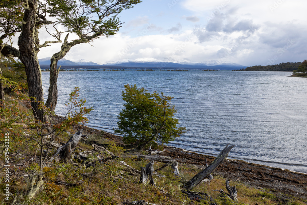 RESERVA PROVINCIAL LAGUNA NEGRA at Fagnano Lake near Tolhuin, Argentina, Tierra del Fuego, South America