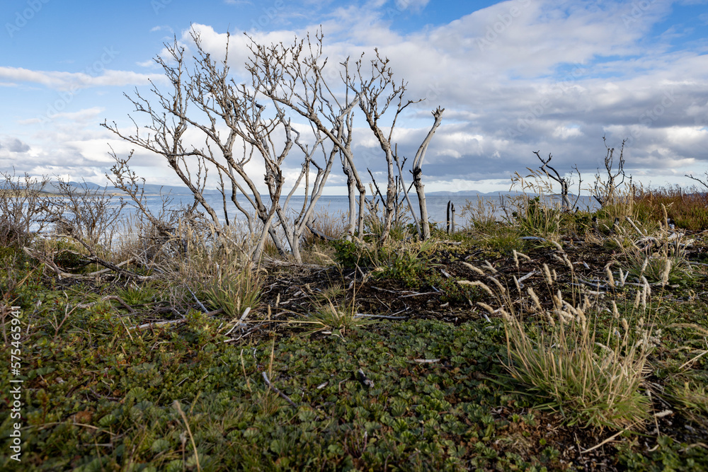 Landscape at the beautiful end of the world - Ushuaia, Tierra del Fuego, South America Landscape at the beautiful end of the world - Ushuaia, Tierra del Fuego, South America