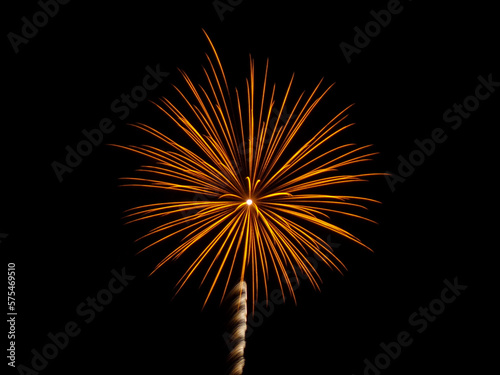 fireworks in the sky