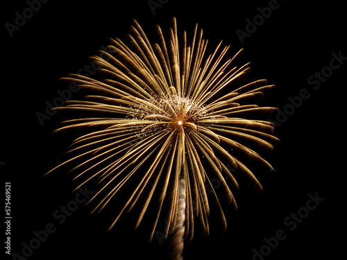 fireworks in the sky