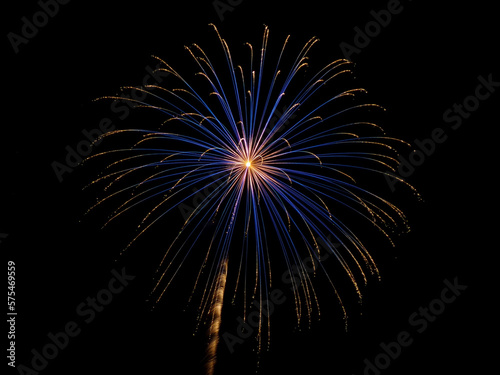 fireworks in the sky