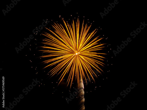 fireworks in the sky