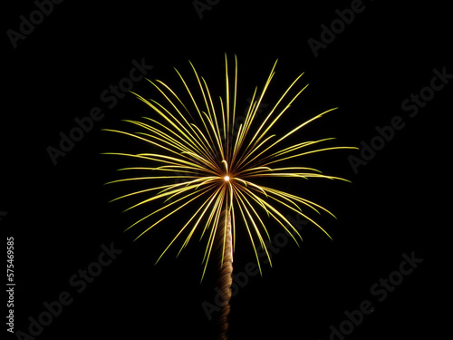 fireworks in the night sky