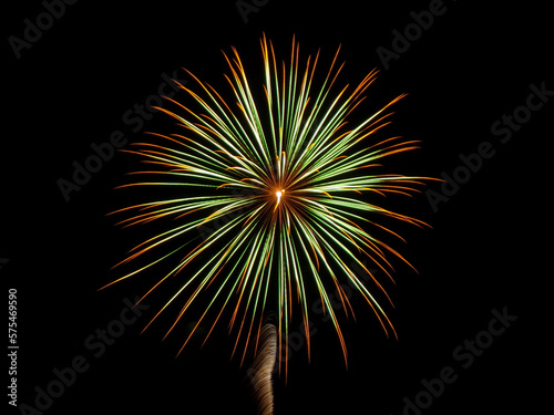 fireworks in the sky