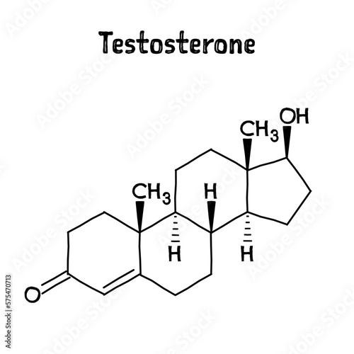 Testosterone molecular structure. Testosterone is the primary sex hormone and anabolic steroid in males. .Vector structural formula of chemical compound. Black pen Hand-drawn style.