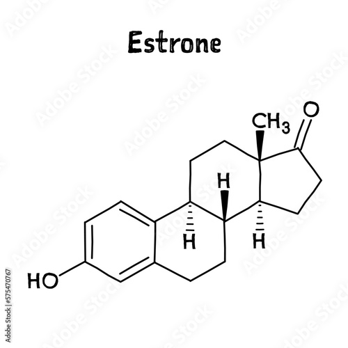 Estrone molecular structure. Estrone is a steroid, a weak estrogen, and a minor female sex hormone. .Vector structural formula of chemical compound. Black pen Hand-drawn style.