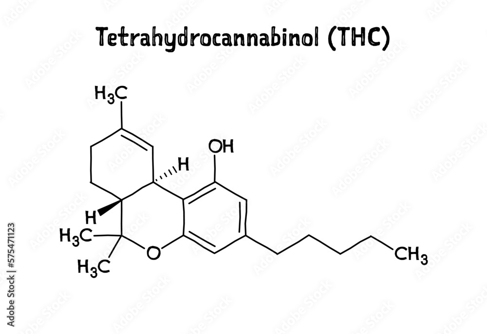 Tetrahydrocannabinol, or THC, molecular structure. Tetrahydrocannabinol is the principal psychoactive drug from cannabis. .Vector structural formula of chemical compound. Black pen Hand-drawn style. Tetrahydrocannabinol, or THC, molecular structure. Tetrahydrocannabinol is the principal psychoactive drug from cannabis. .Vector structural formula of chemical compound. Black pen Hand-drawn style.