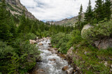 North Fork Of Cascade Canyon Tumbles Through Forest and Boulders Of Grand Teton