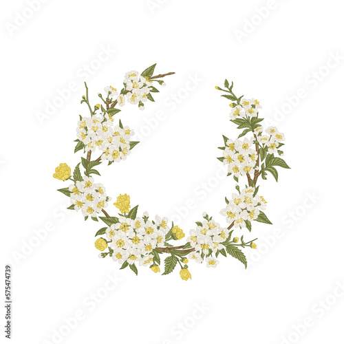 Cherry Wreath isolated on a transparent background. Vintage oval frame with spring flowers. Botanical illustration. Colorful.