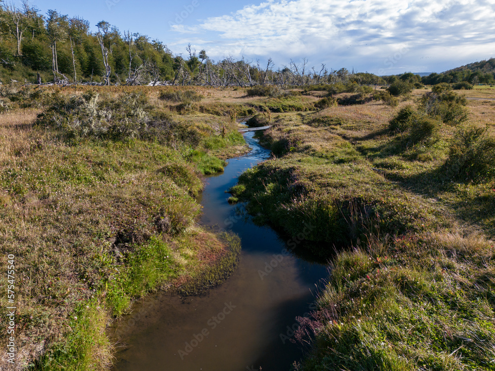 Aerial view of a beaver habitat in Reserva Lago Yeguin on the island Tierra del Fuego, Argentina, South America Aerial view of a beaver habitat in Reserva Lago Yeguin on the island Tierra del Fuego, Argentina, South America