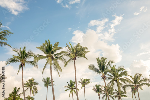 Coconut palm tree at beach with cloud on sky in summer - vintage color tone..