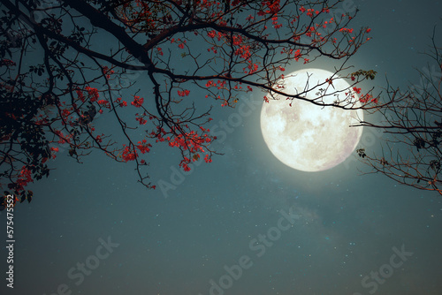 Canvastavla Romantic night scene - Beautiful pink flower blossom in night skies with full moon