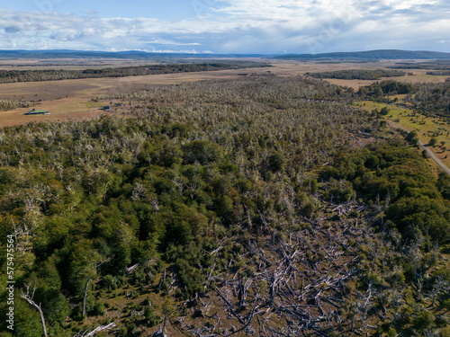 Aerial view of a beaver habitat in Reserva Lago Yeguin on the island Tierra del Fuego  Argentina  South America