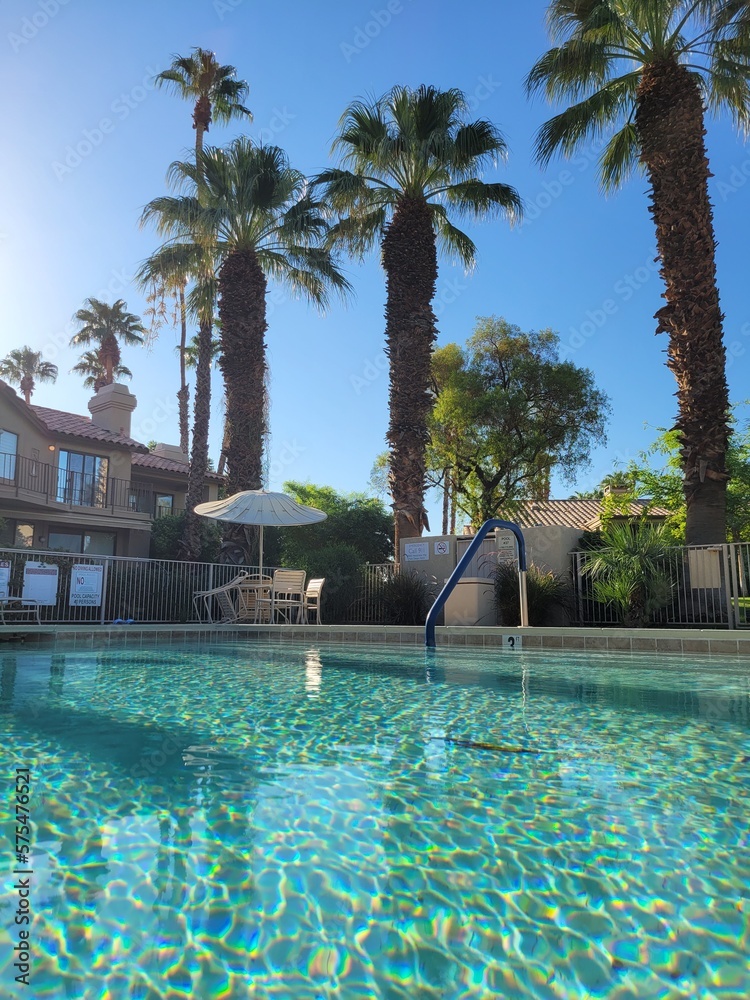 Fototapeta premium Pool with palm trees