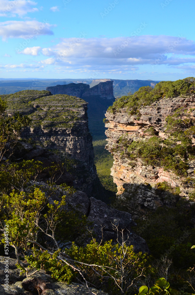 The vertical view from a cliff, Chapada Diamantina - Brazil