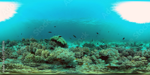 Coral garden seascape and underwater world. Colorful tropical coral reefs. Life coral reef. Philippines. 360 panorama VR © Alex Traveler