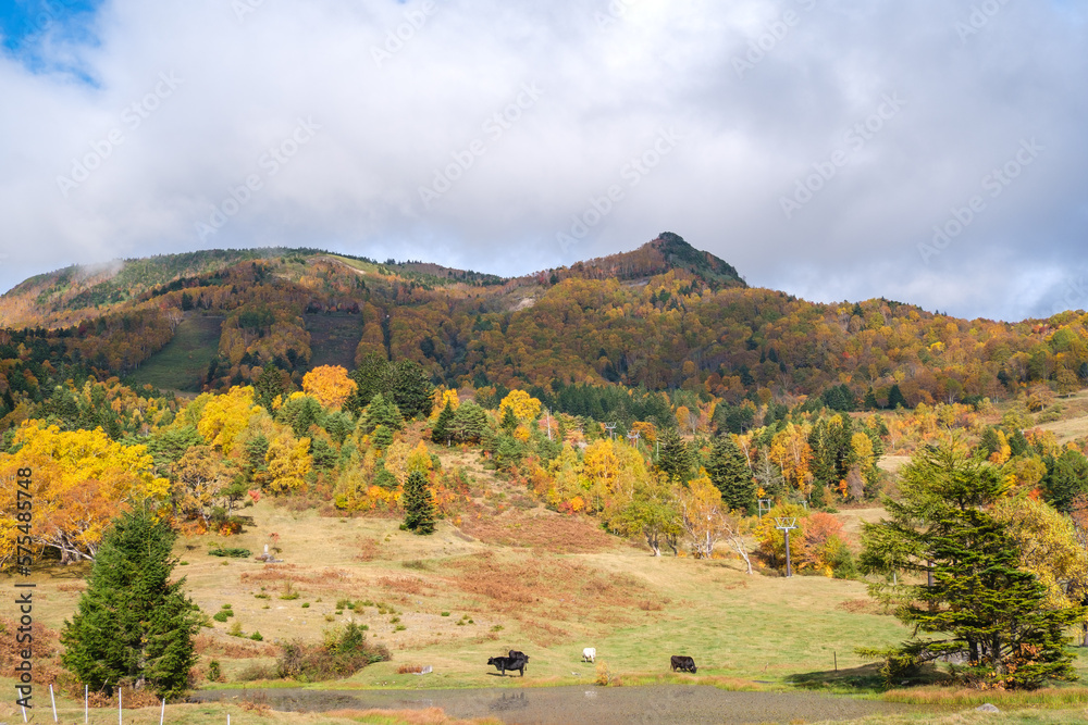 Obraz premium 笠ヶ岳の紅葉