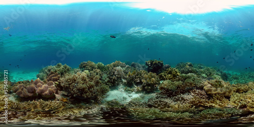 Tropical coral reef. Scene reef. Marine life sea world. Underwater fish reef marine. Philippines. Virtual Reality 360. © Alex Traveler
