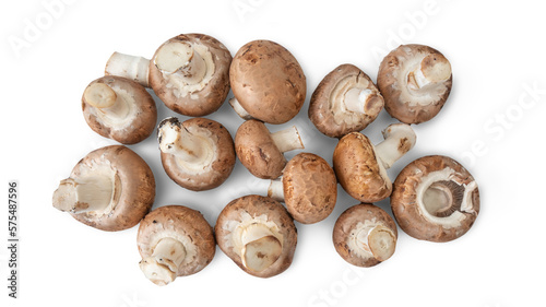 Mushrooms on a transparent background